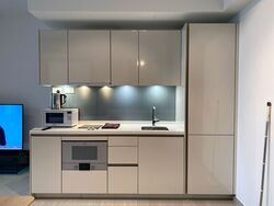 V On Shenton (D1), Apartment #575068921